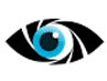 Visual Arts Eye logo